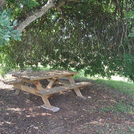 Can Porreti Agroturisme Lloret de Vistalegre Bagian luar foto