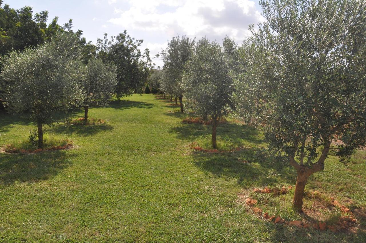 Can Porreti Agroturisme Lloret de Vistalegre Bagian luar foto